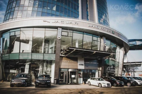 Изображение Jaguar Бовид